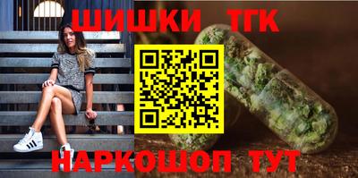 амф Сланцы