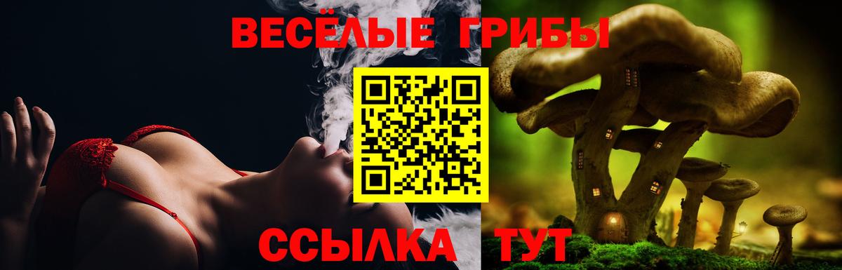 Псилоцибиновые грибы Psilocybe  Вход с VPN  Прохладный 